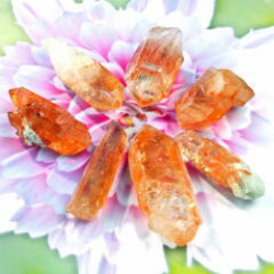 オレンジファントム