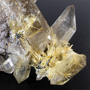 掘り出された掘り出し物2025