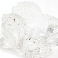 獅子ライオンSUPER 個性的な子 No.1