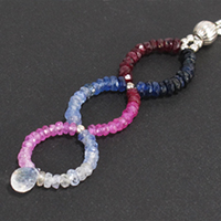 星採り網・天の川